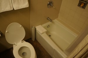a toilet and bathtub in a bathroom