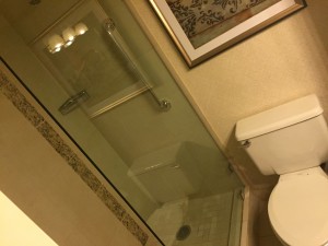 Hilton JFK Bathroom