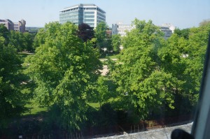 a view of a park with trees and buildings