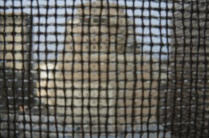 a blurry image of a building behind a net