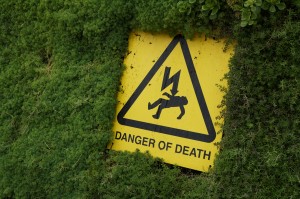 a yellow sign with a black triangle on it surrounded by green plants