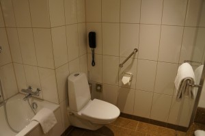 a bathroom with a toilet and bathtub