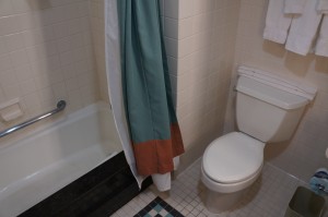 a bathroom with a shower curtain