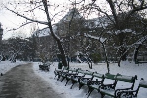 a snow covered park with benches