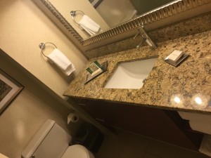 Hilton JFK Bathroom