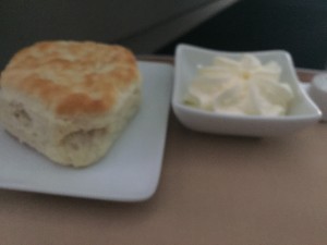 AA biscuit - LAX to JFK - First